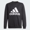 Adidas-Adidas B Bl Swt-GN4029-Sport Dale-1