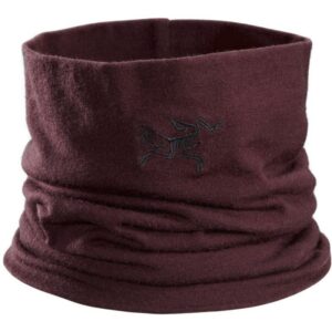 ArcTeryx-ArcTeryx Rho LTW Neck Gaiter-13454-Sport Dale-1