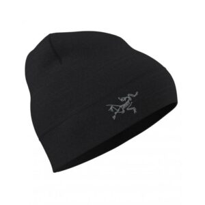 ArcTeryx-ArcTeryx Rho Lightweight Wool Toque-29580-Sport Dale-1