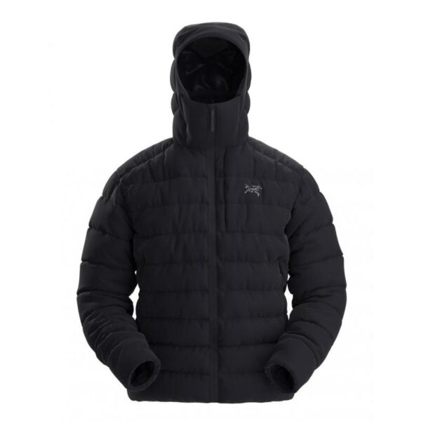 ArcTeryx-ArcTeryx Thorium Hoody M-29695-Sport Dale-1