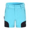 Skogstad-Skogstad Svelgen shorts-022108-Sport Dale-1