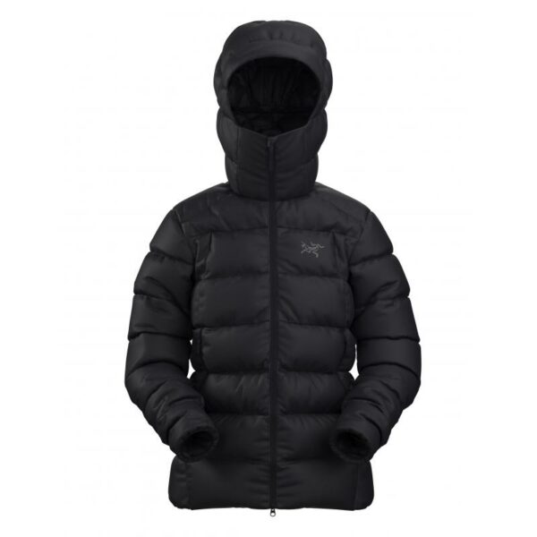 ArcTeryx ArcTeryx Thorium Hoody W X000005659 Sport Dale 1